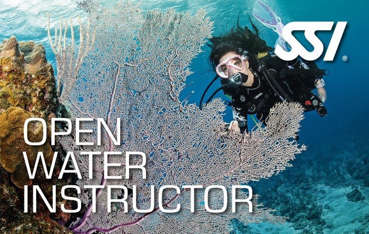 472580_Open-Water-Instructor-Small1